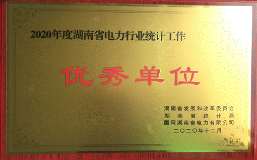 杭州茁质教育科技有限公司株洲航电分公司荣获“2020年度湖南省电力行业统计优秀单位”称号